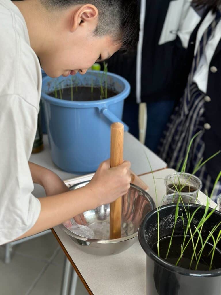 宇宙　探究　肥料づくり②